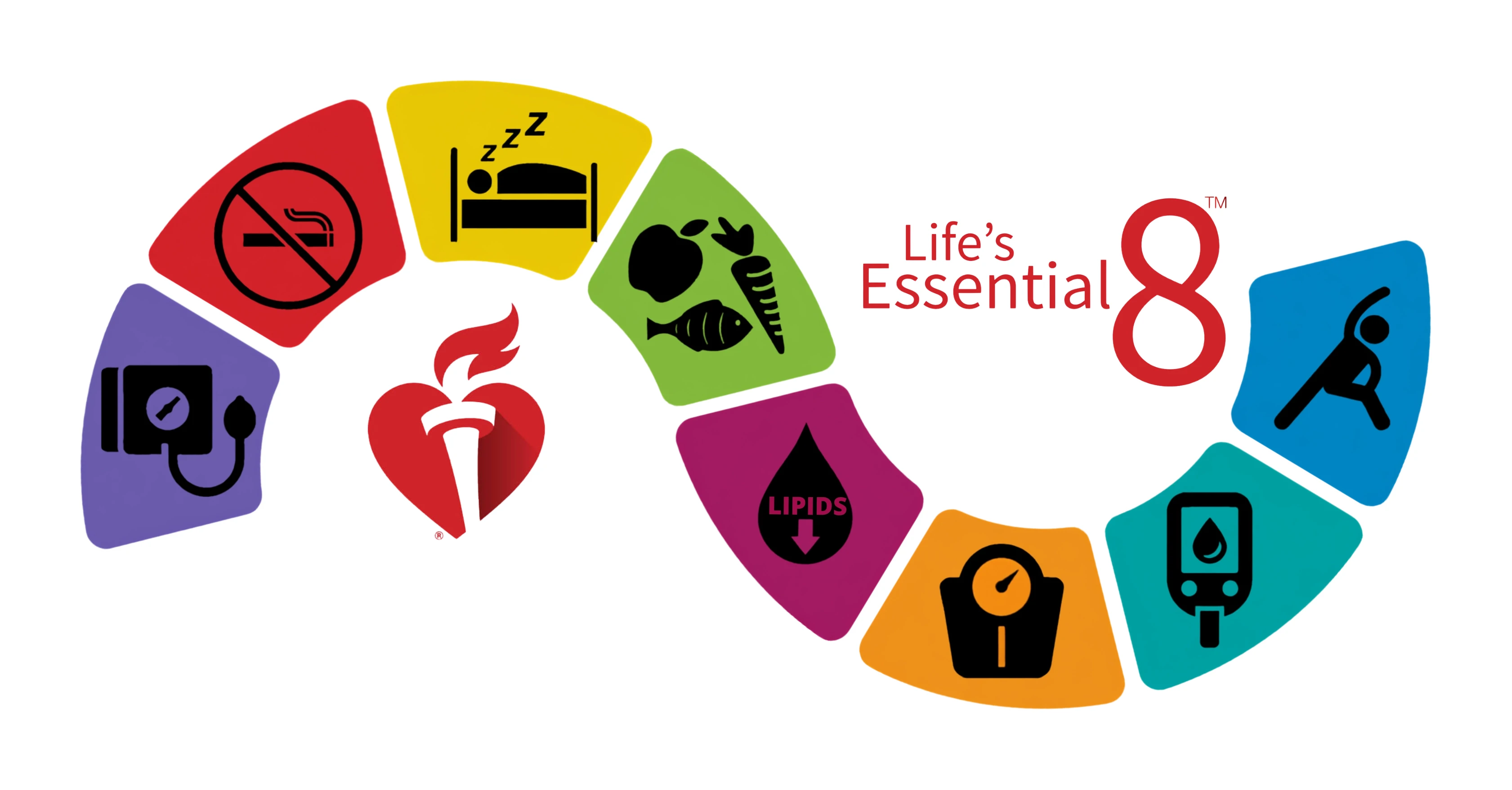 The American Heart Association's Life's Essential 8 graphic: eight colored segments for blood pressure, nicotine, sleep, diet, physical activity, cholesterol, weight, and blood sugar
