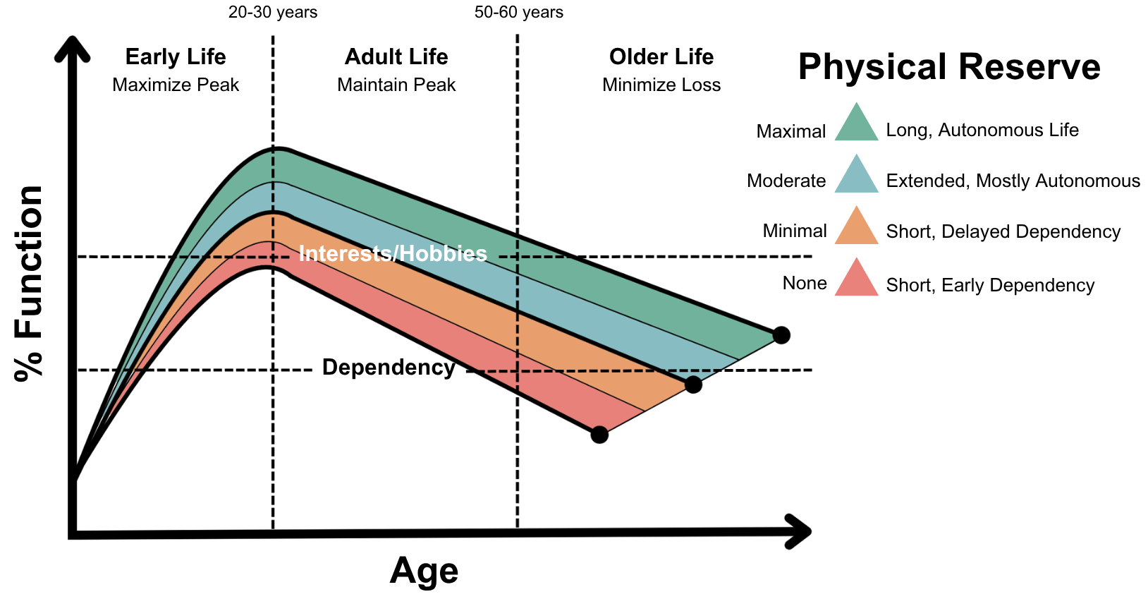 Physical Reserve chart